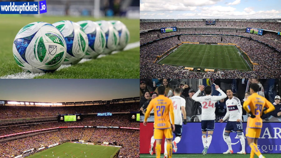 Soccer World Cup Tickets | World Cup Tickets