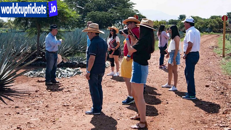 Buy FIFA World Cup Tickets | FIFA 2026 Tickets