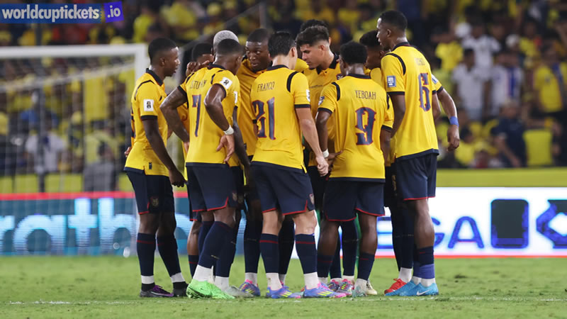 Ecuador Vs Germany Tickets | Scocer World Cup Tickets | World Cup Tickets