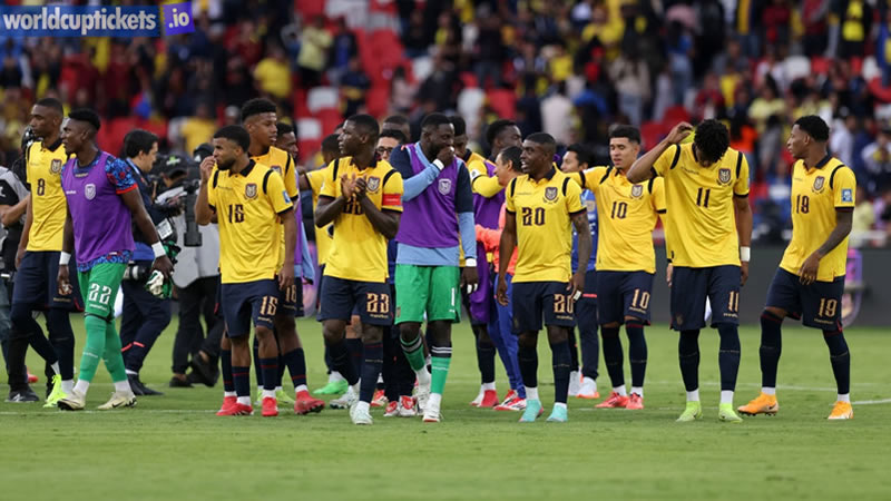 Ecuador Vs Germany Tickets | Scocer World Cup Tickets | World Cup Tickets