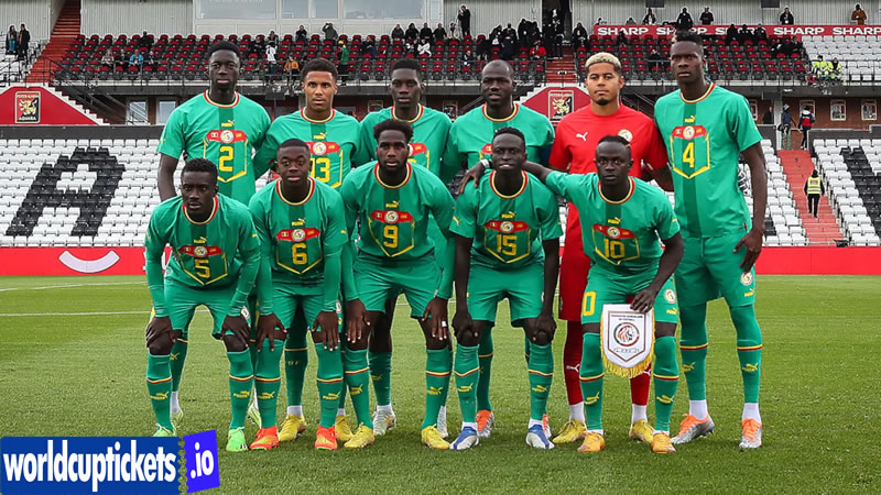 Norway vs Senegal Tickets | Norway vs France Tickets | FIFA World Cup Tickets