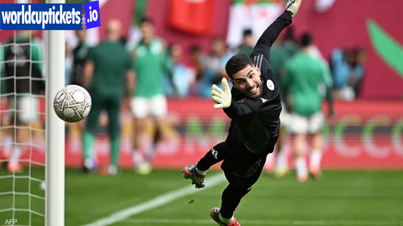 FIFA World Cup Tickets | World Cup Tickets | Soccer World Cup Tickets 