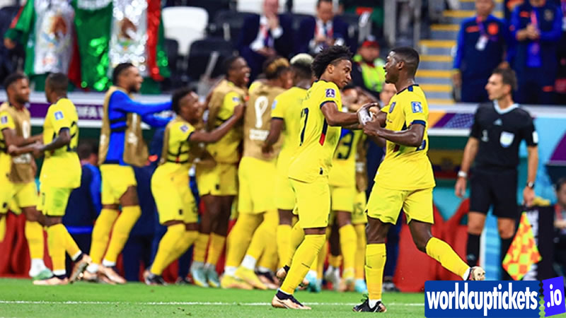 FIFA World Cup Tickets | World Cup Tickets | Soccer World Cup Tickets 