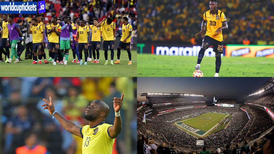 Ivory Coast vs Ecuador Tickets | FIFA World Cup Tickets
